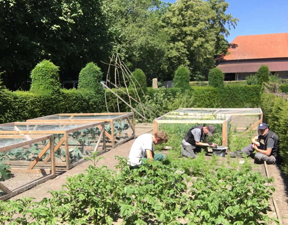 Freilichtmuseum des Kreises Viersen in Grefrath Freilichtmuseum des Kreises Viersen in Grefrath